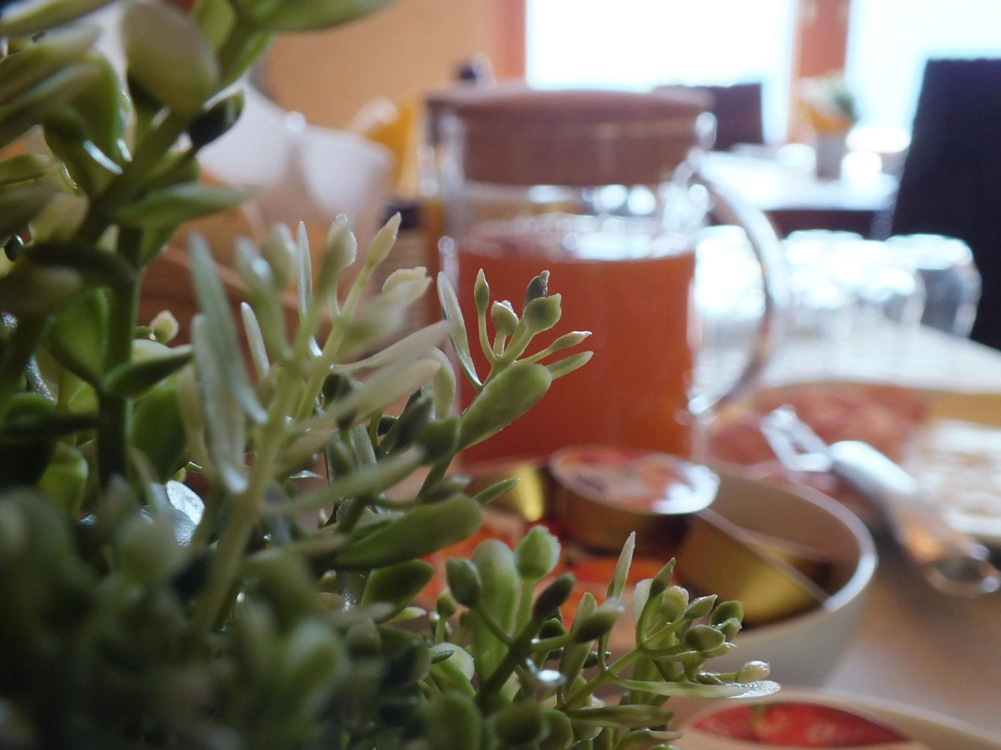 Garden View Bed & Breakfast อานโฟ ภายนอก รูปภาพ